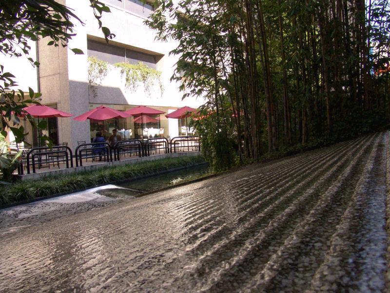 Hotel Royal Pedregal Ciudad de México Exteriér fotografie The path of the former railway line is now a cycle path.